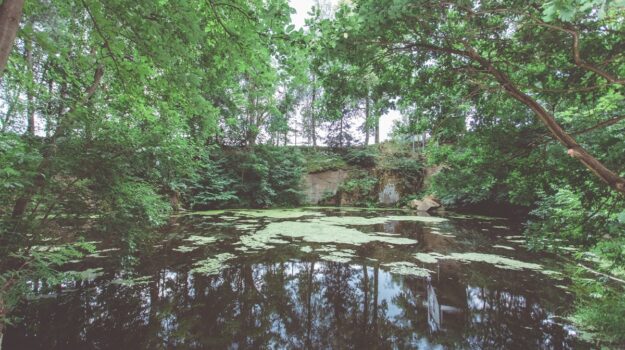 Weiche Handtücher Das Geheimnis liegt im Waldviertler Wasser