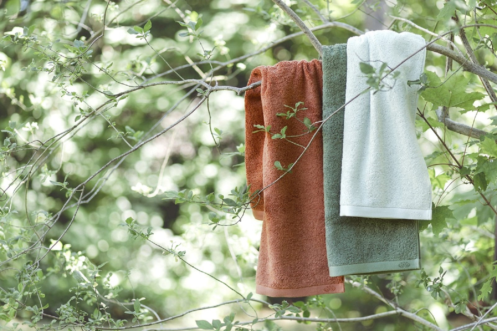 von framsohn neuen Badezimmer Natur ins kommt Handtüchern Frottier Framsohn | CO2-neutrale Mit Buchenholzfaser: frottier den