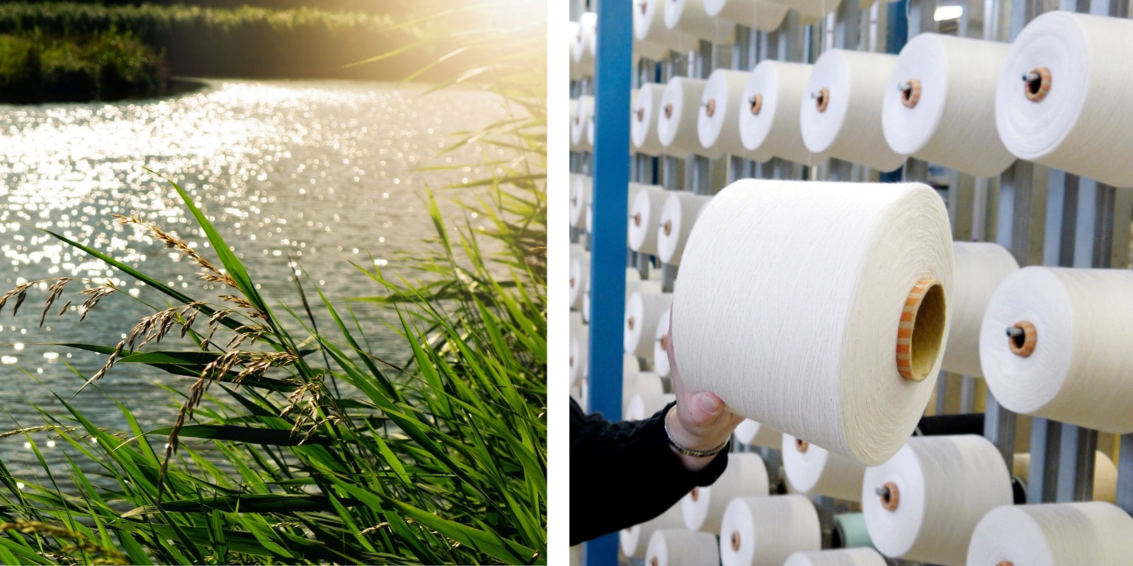 Frottier Handtüchern Badezimmer neuen Framsohn CO2-neutrale den ins framsohn von Natur frottier | kommt Buchenholzfaser: Mit