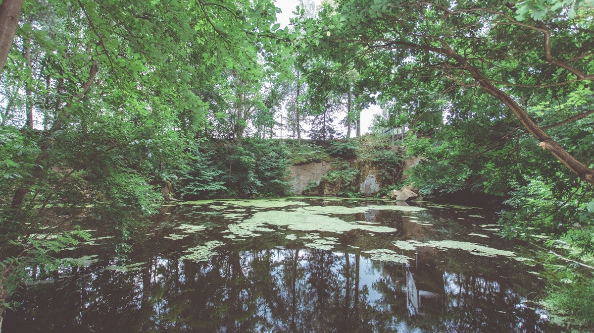Weiche Handtücher Das Geheimnis liegt im Waldviertler Wasser